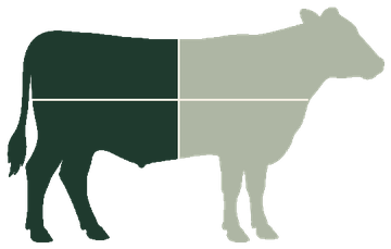 Cattle outline with the back half shaded