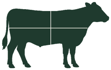 Cattle outline fully shaded