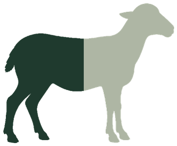 Lamb outline with the back half shaded