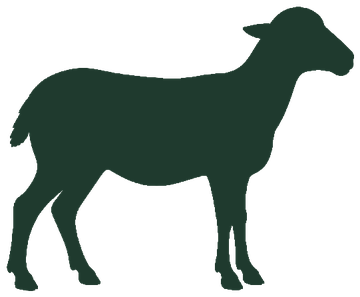 Lamb outline fully shaded